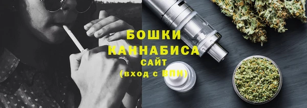 индика Касимов