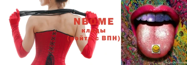 шишки Каменка
