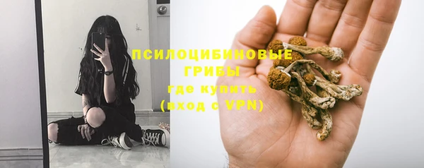 стаф Карпинск