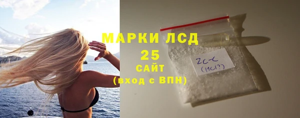 шишки Каменка