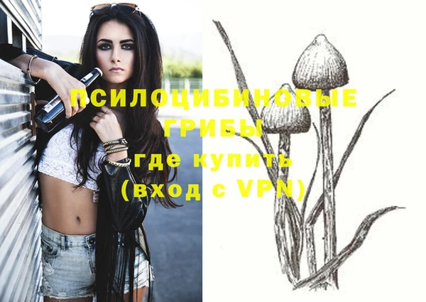 эйфоретик Каменногорск