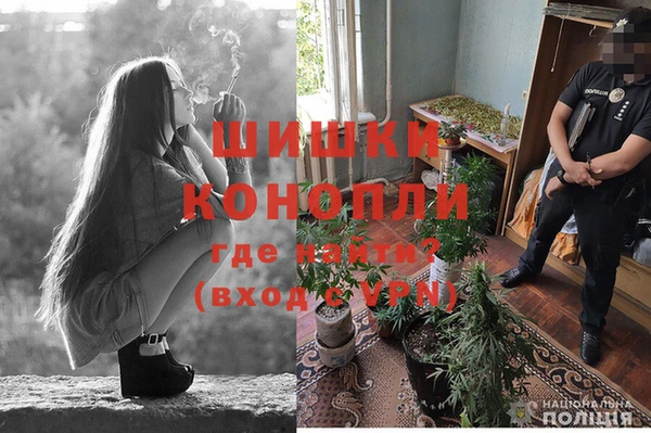 гидра Карталы