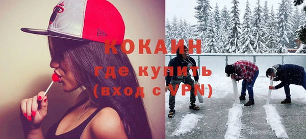 шишки Каменка