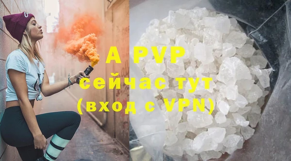эйфоретик Каменногорск