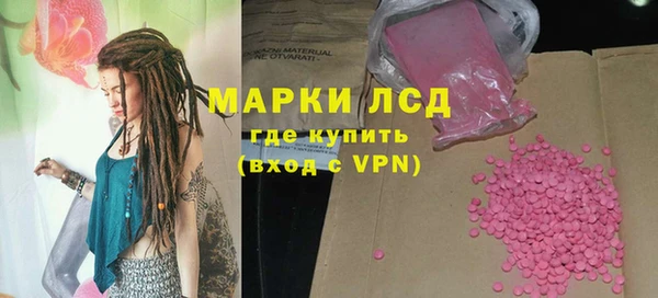 стаф Карпинск