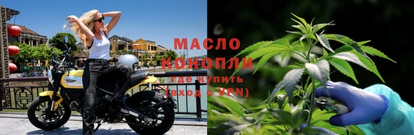 индика Касимов