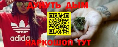молекула духа Заводоуковск