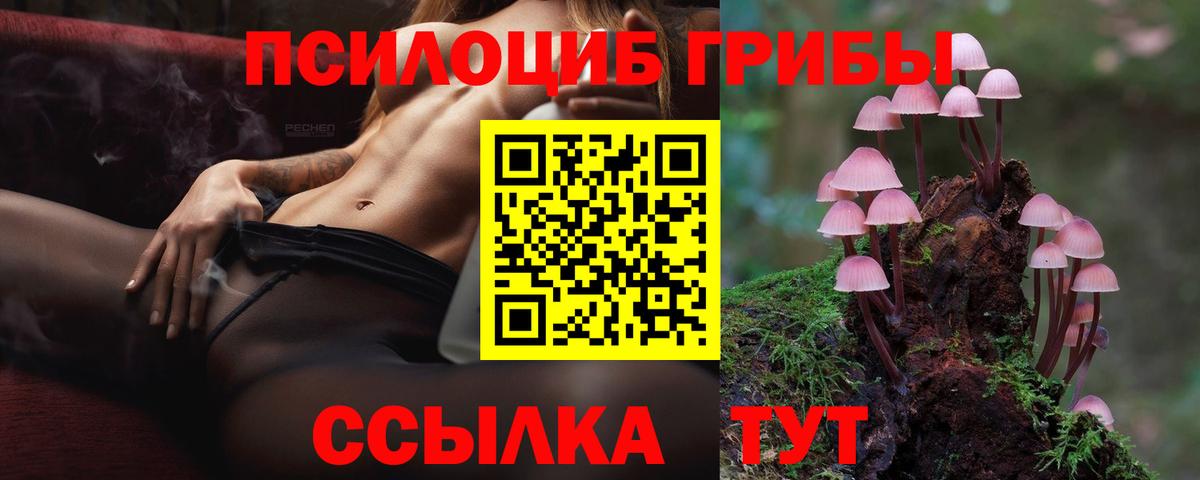 Галлюциногенные грибы мицелий Ленинск-Кузнецкий