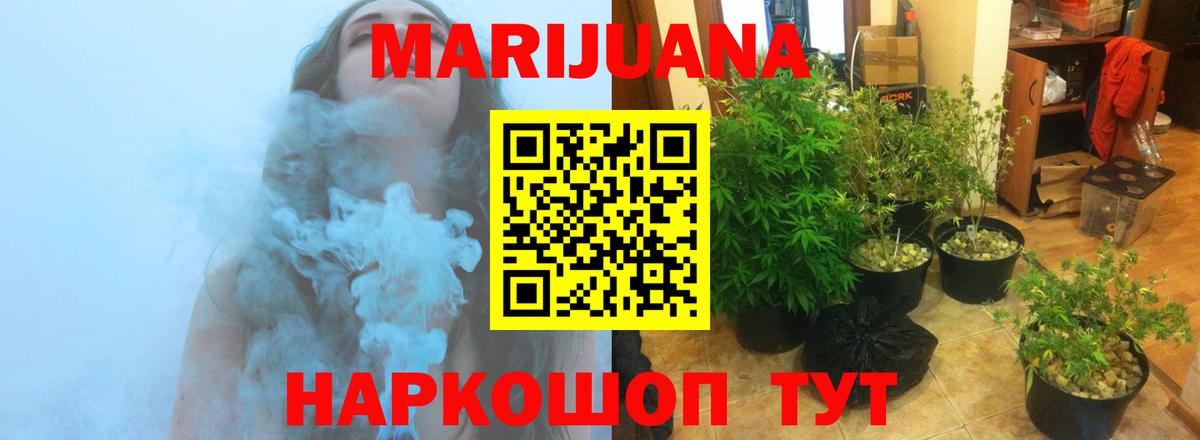 Канабис марихуана Ленинск-Кузнецкий